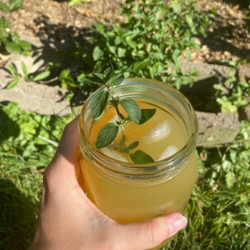 Fresh Mint and Ginger Lemonade Mama on the Homestead