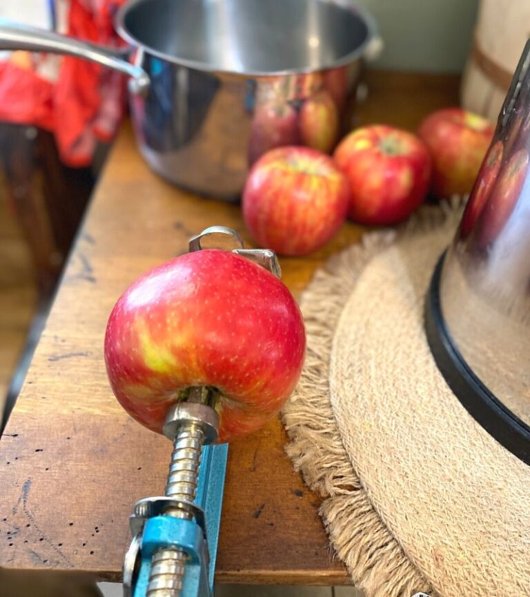 Homemade Applesauce Recipe with Cinnamon & Ginger Mama on the Homestead