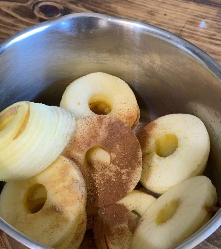 Homemade Applesauce Recipe with Cinnamon & Ginger Mama on the Homestead