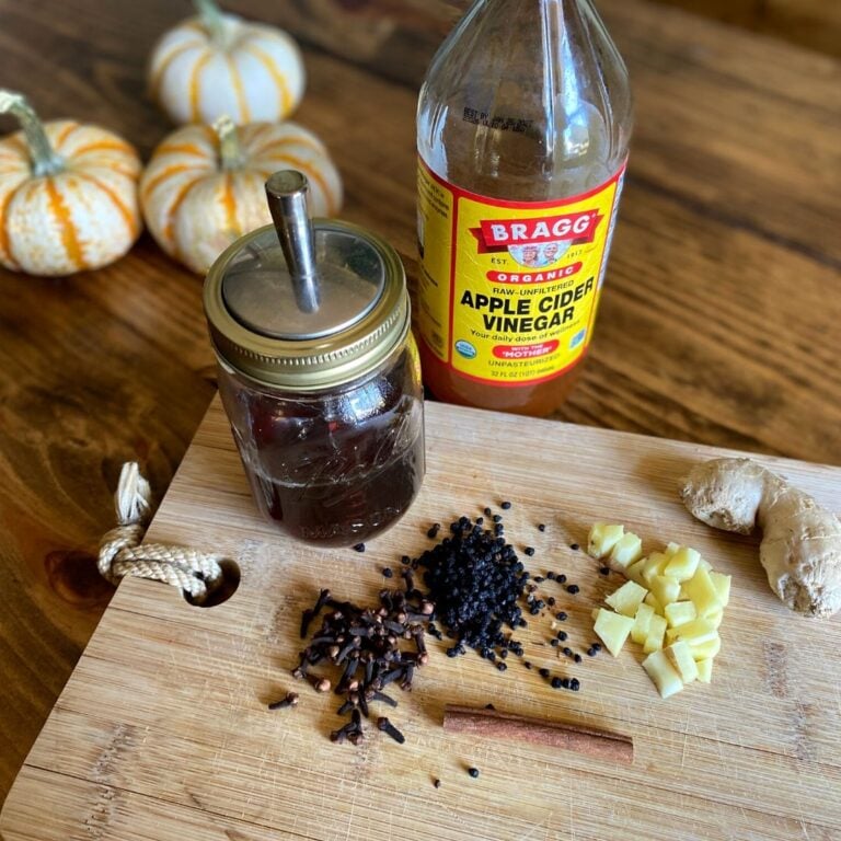 Homemade Elderberry Syrup Recipe for Immune Support Mama on the Homestead