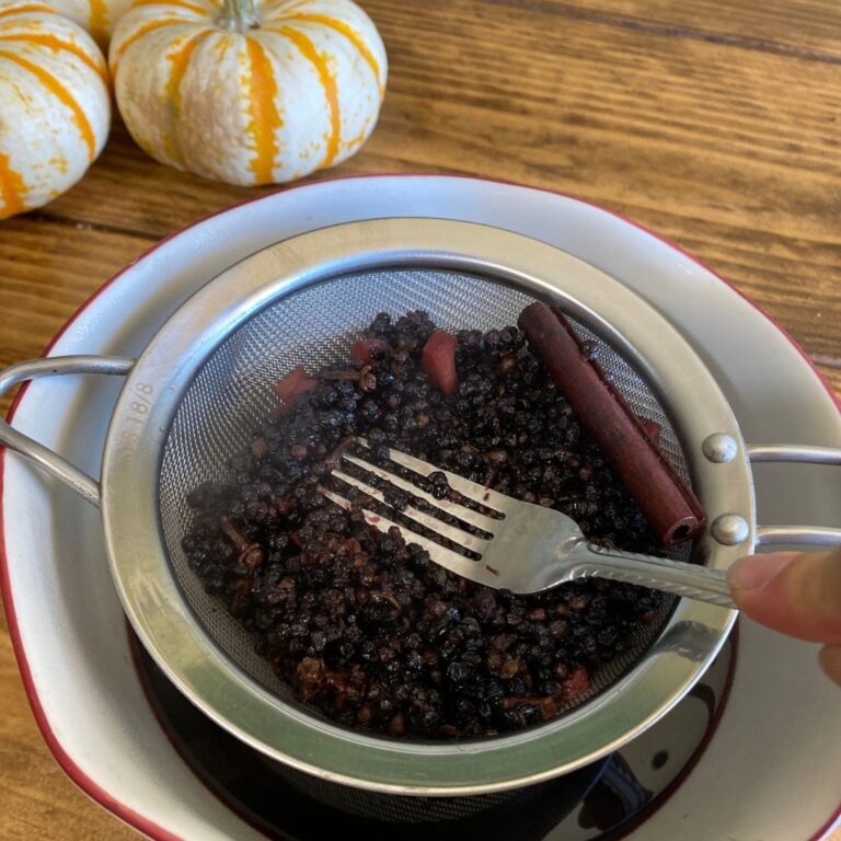 Homemade Elderberry Syrup Recipe for Immune Support Mama on the Homestead