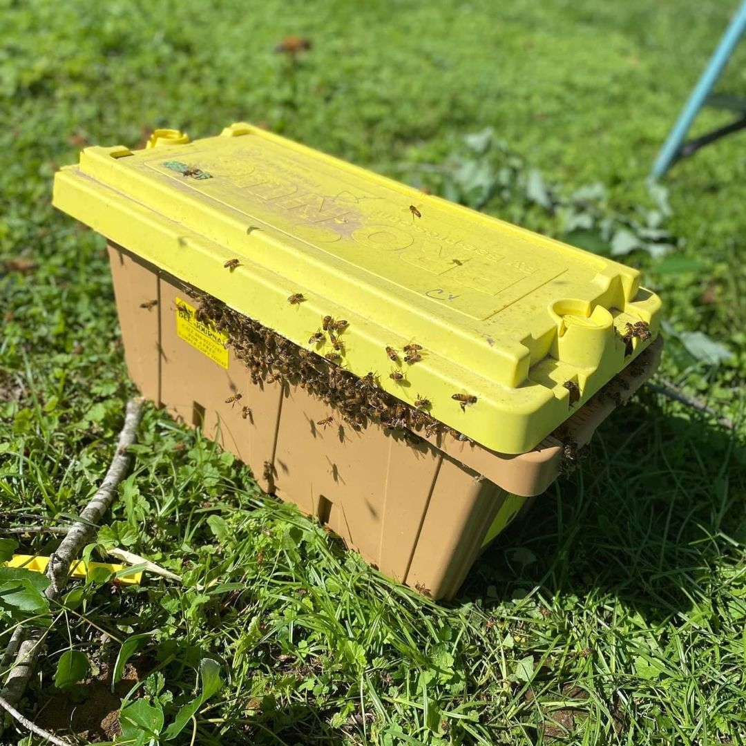 Beekeeping Supply Shop Mama on the Homestead