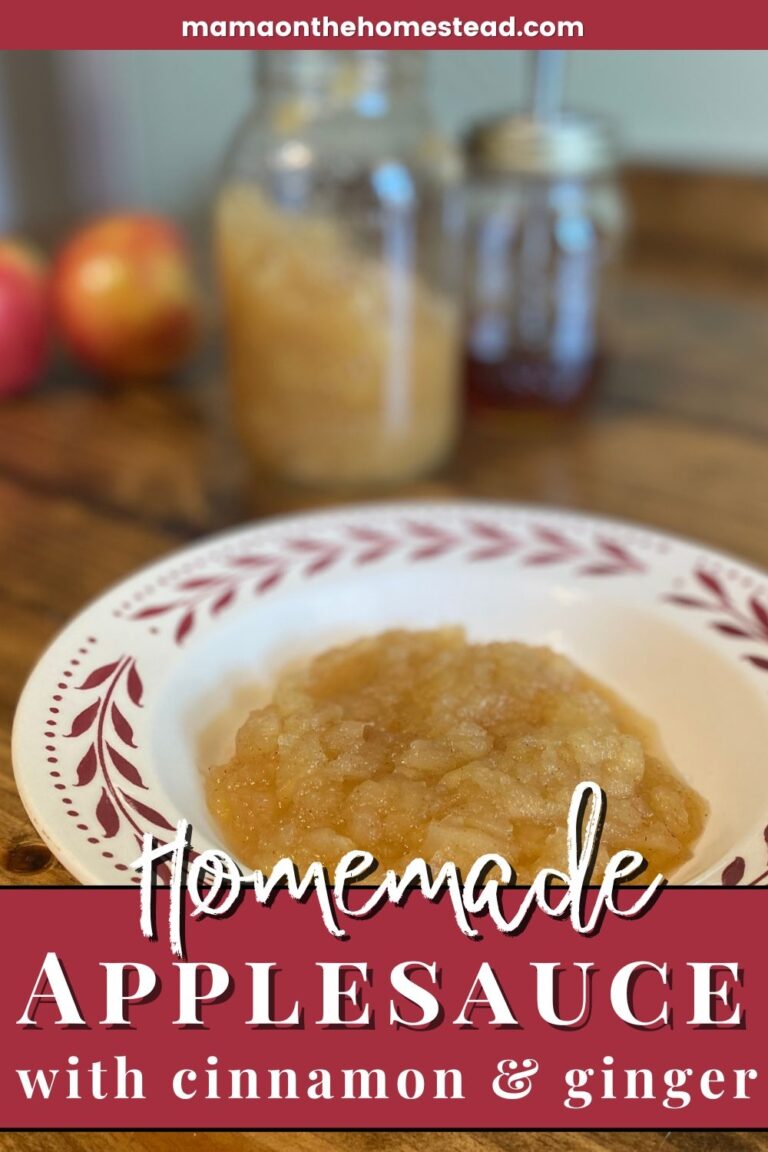 Homemade Applesauce Recipe with Cinnamon & Ginger Mama on the Homestead