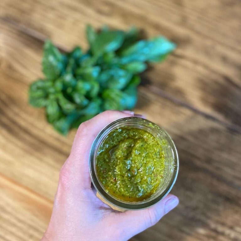 Sweet Pepper & Toasted Garlic Basil Pesto Recipe Mama on the Homestead