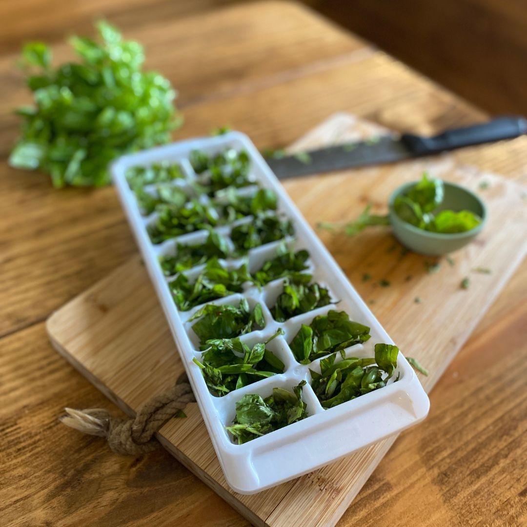 How to Freeze Fresh Herbs for Cooking Mama on the Homestead