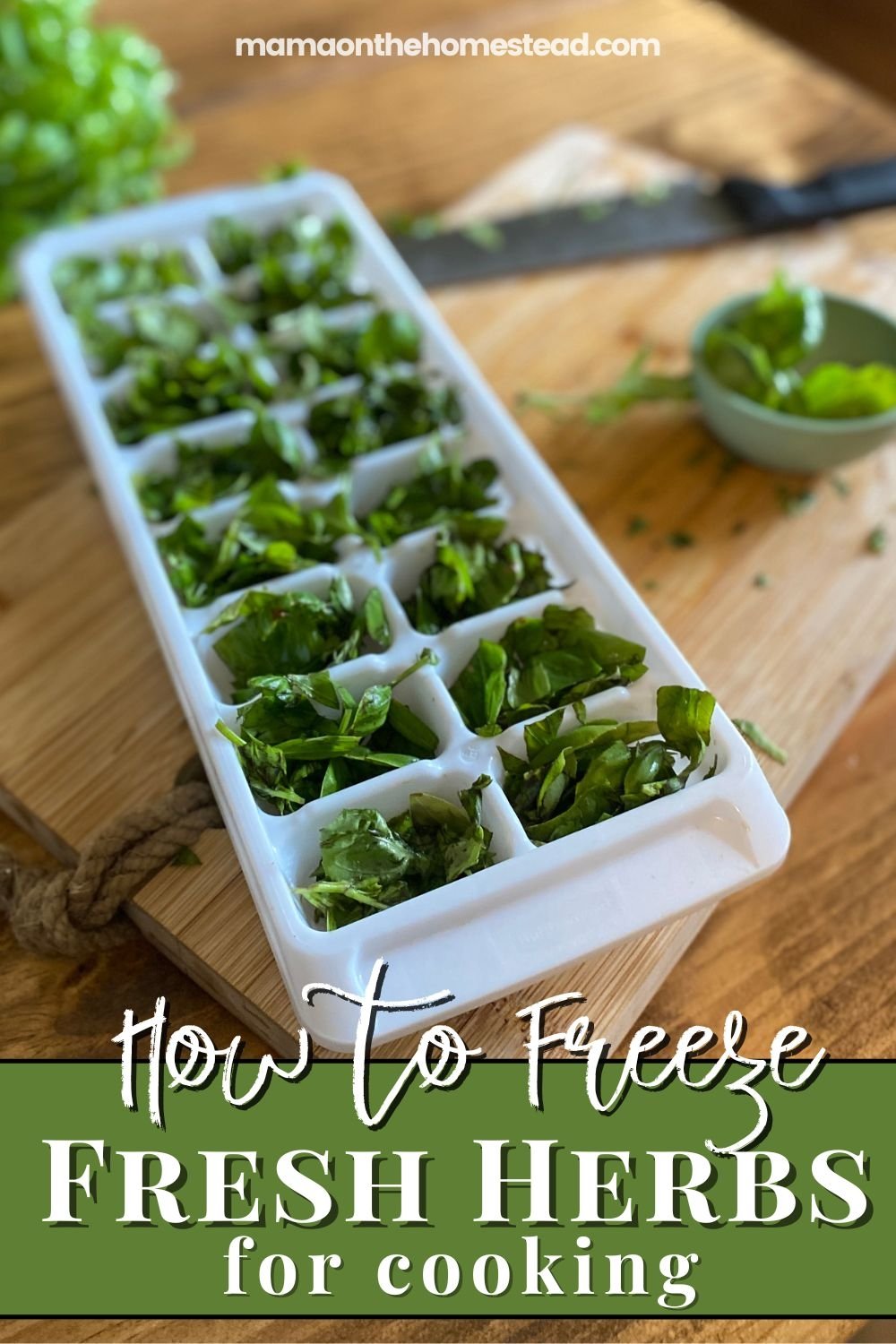 How to Freeze Fresh Herbs for Cooking Mama on the Homestead