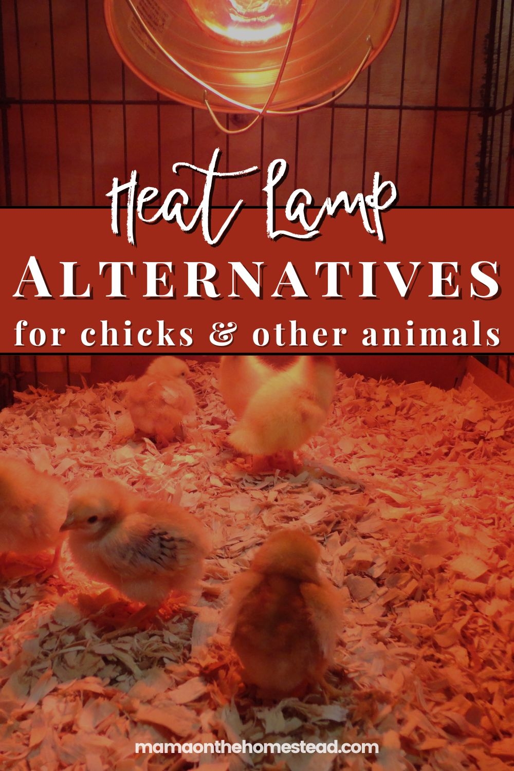 6 Safe Heat Lamp Alternatives for the Homestead Mama on the Homestead