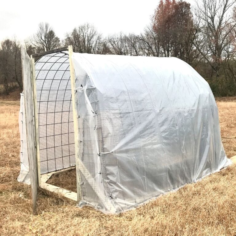 6 Safe Heat Lamp Alternatives for the Homestead Mama on the Homestead