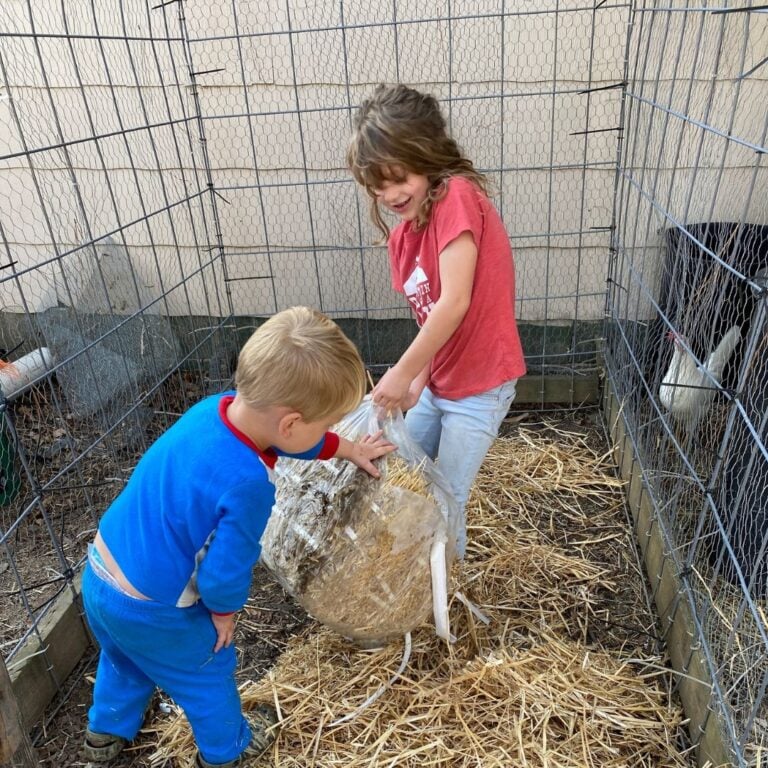 How to Winterize a Chicken Tractor Mama on the Homestead