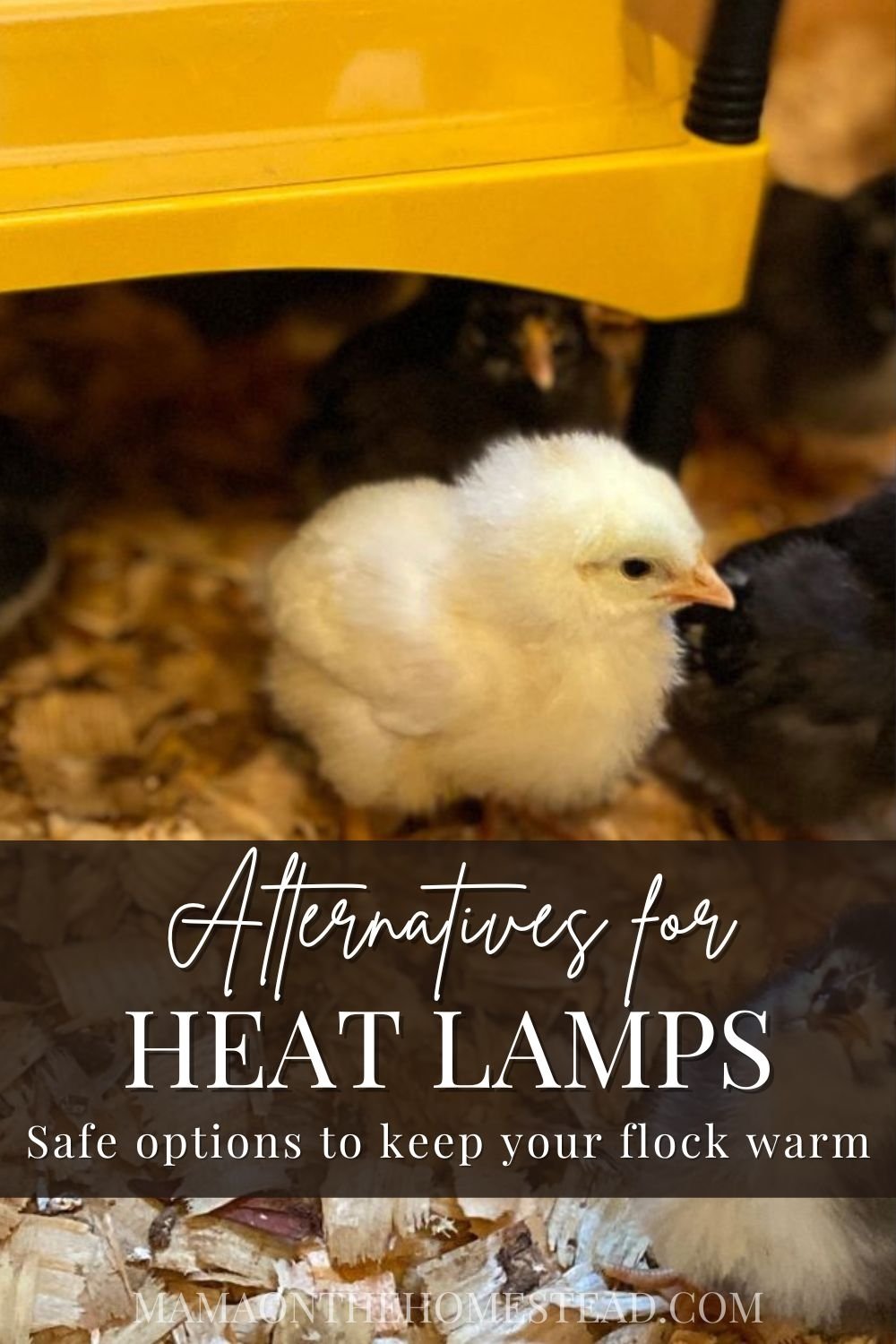 6 Safe Heat Lamp Alternatives for the Homestead Mama on the Homestead