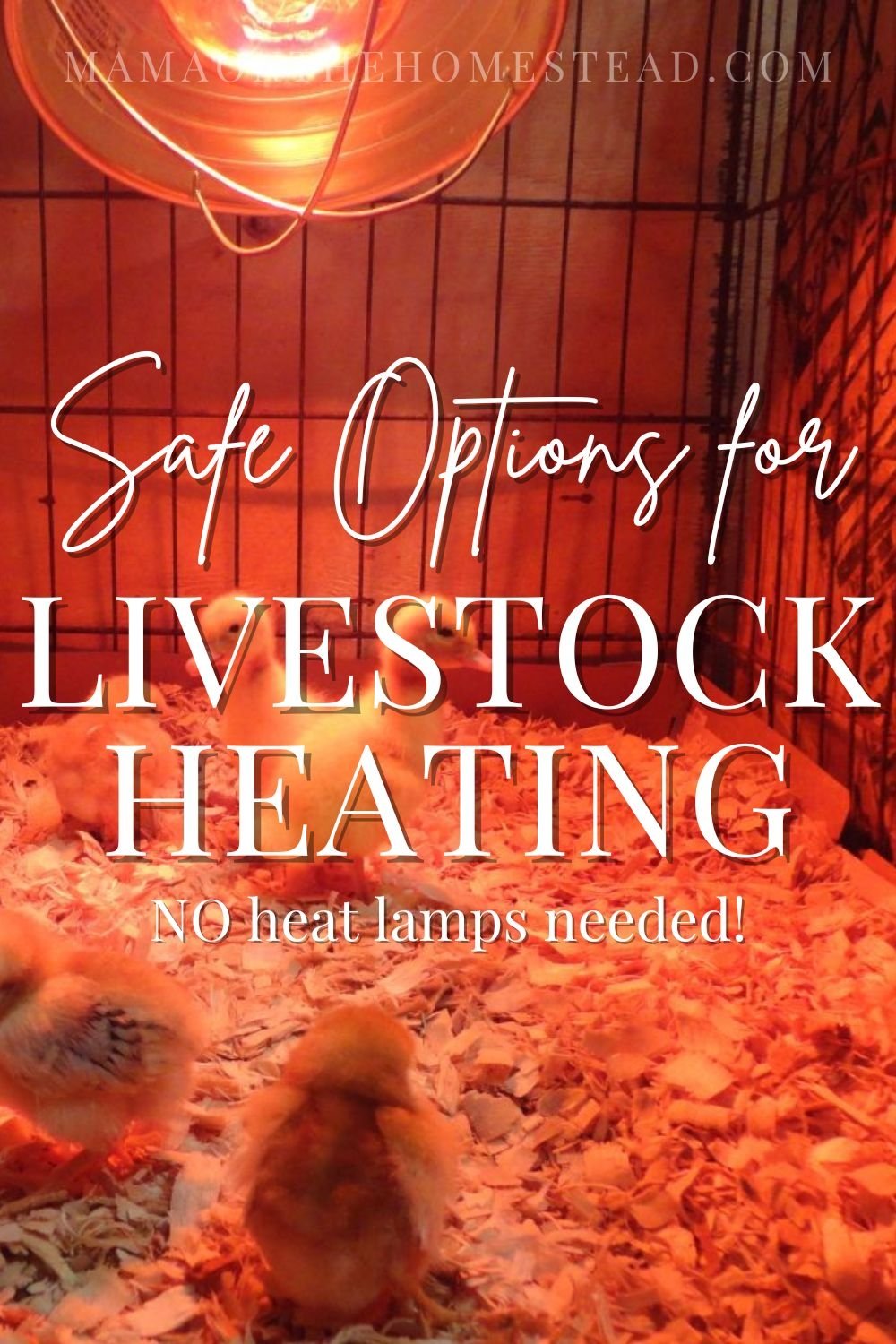 6 Safe Heat Lamp Alternatives for the Homestead Mama on the Homestead