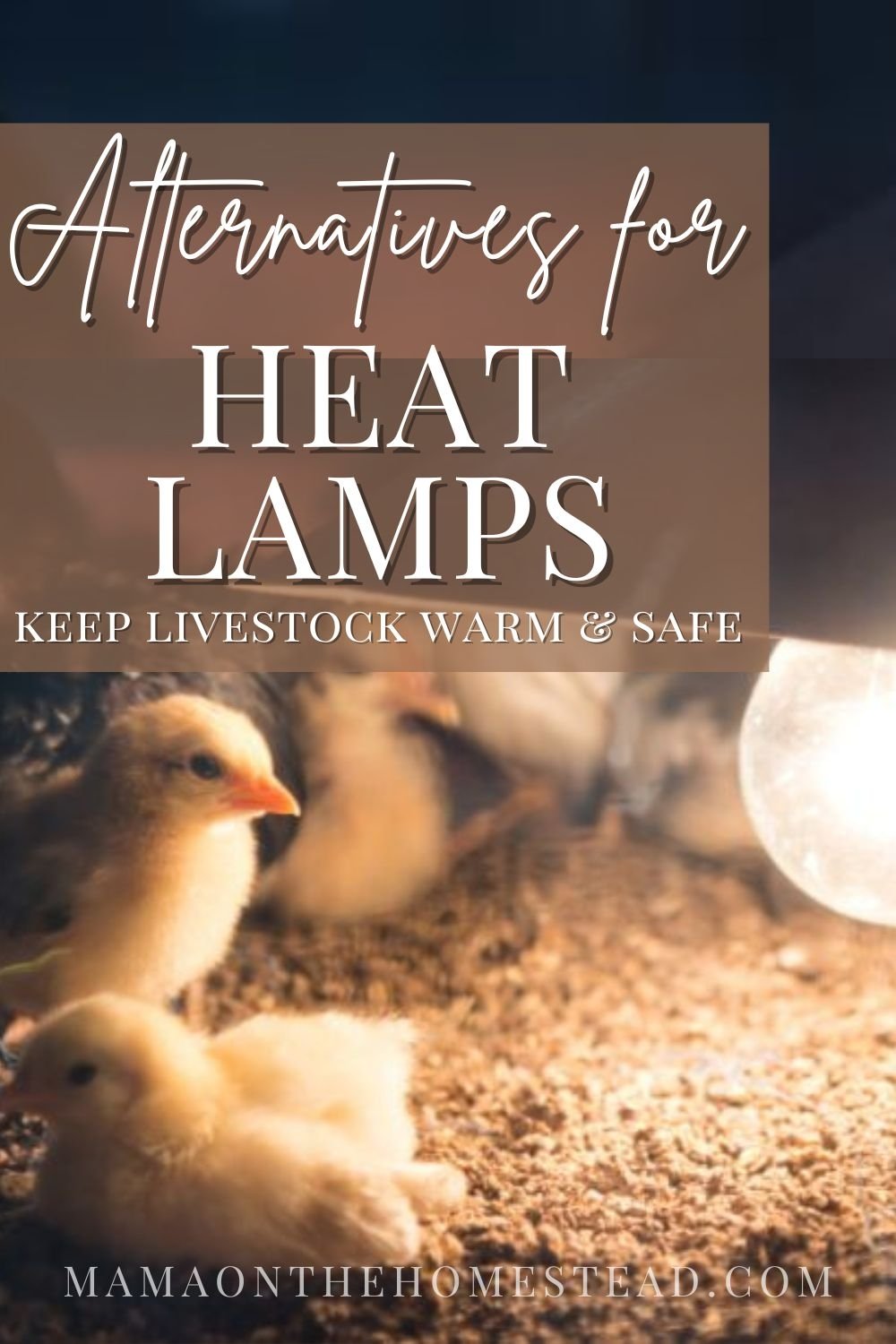 6 Safe Heat Lamp Alternatives for the Homestead Mama on the Homestead