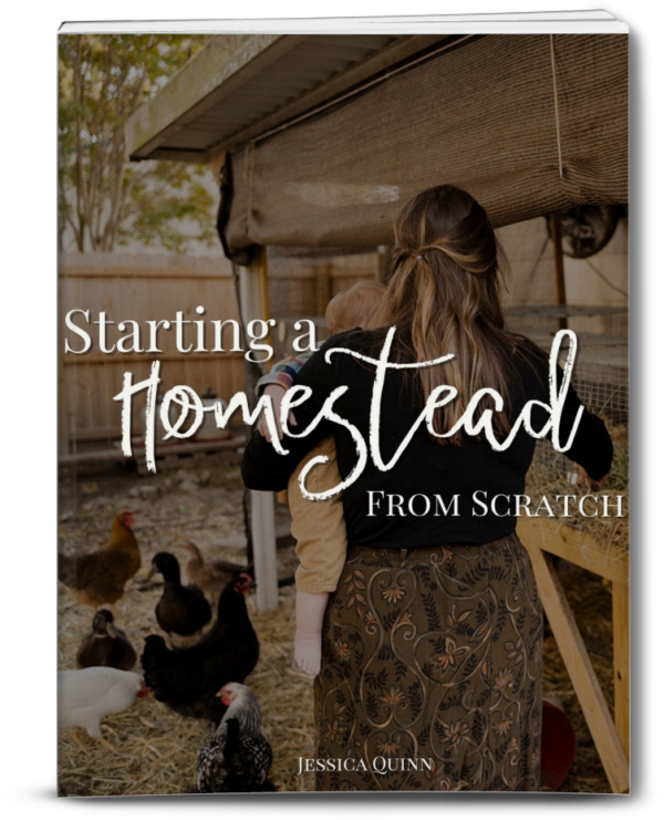 40 of the Best Homesteading Resources Mama on the Homestead
