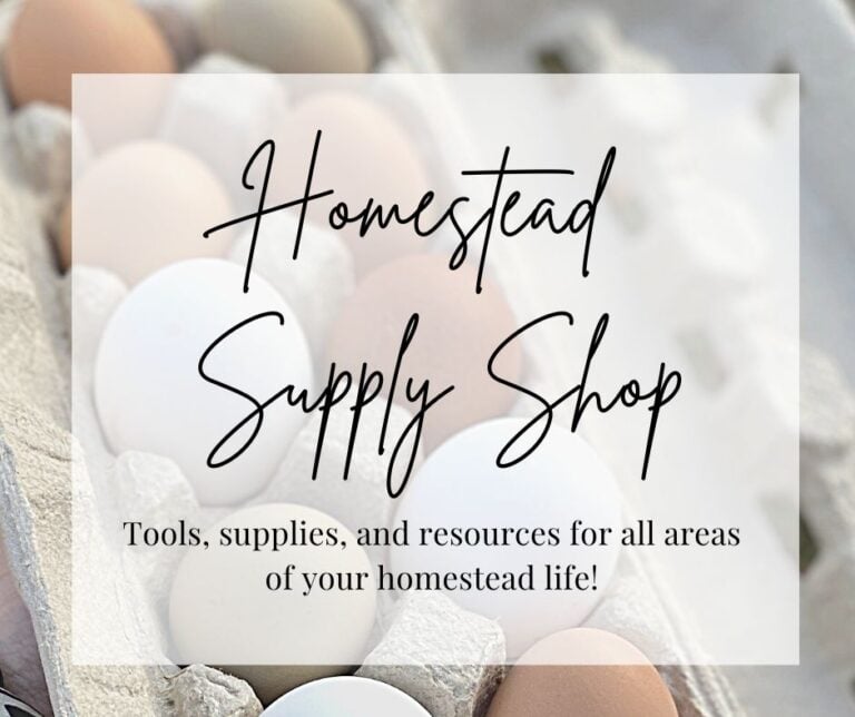 6 Safe Heat Lamp Alternatives for the Homestead Mama on the Homestead