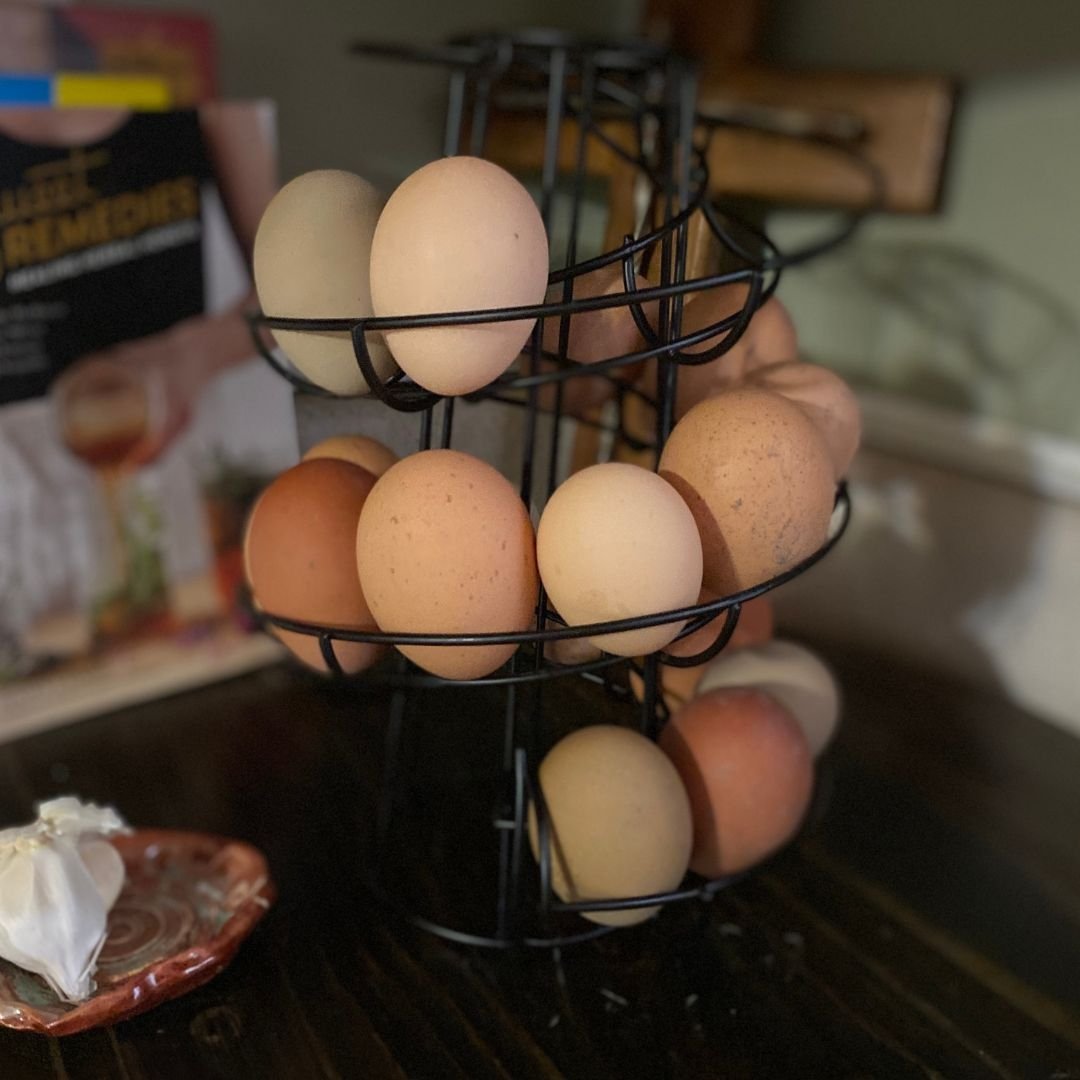 How to Store Fresh Eggs Mama on the Homestead