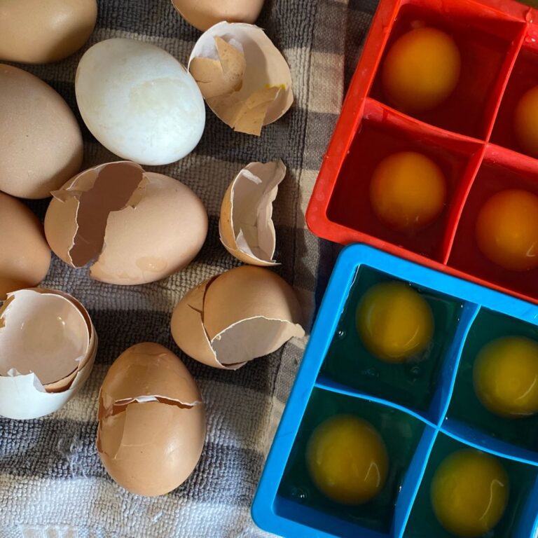 How to Store Fresh Eggs Mama on the Homestead