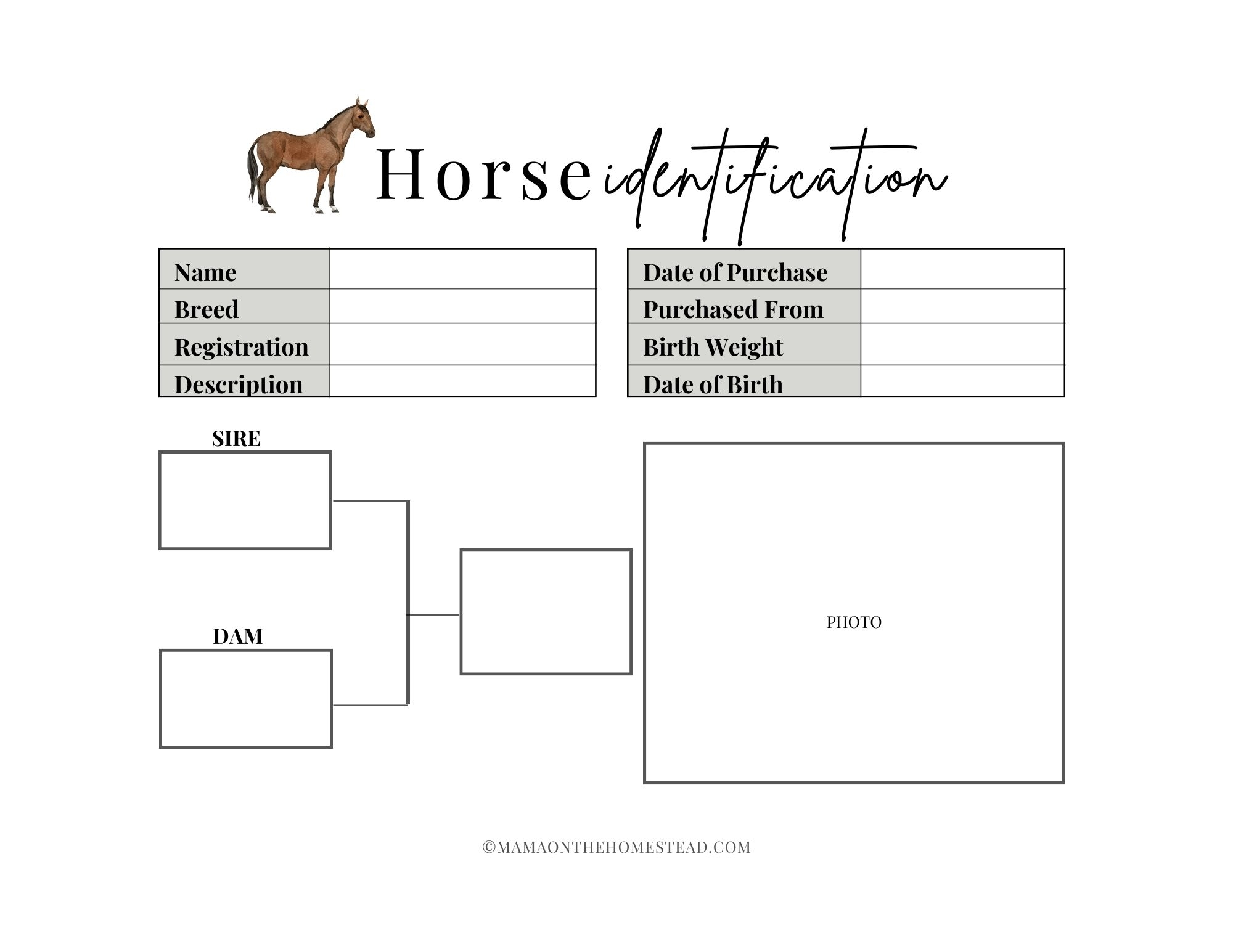 The Homestead Horse Record Book PDF Mama on the Homestead