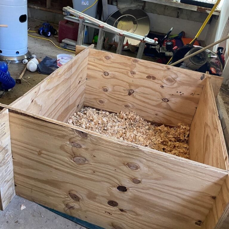 How to Set Up a Chick Brooder Mama on the Homestead