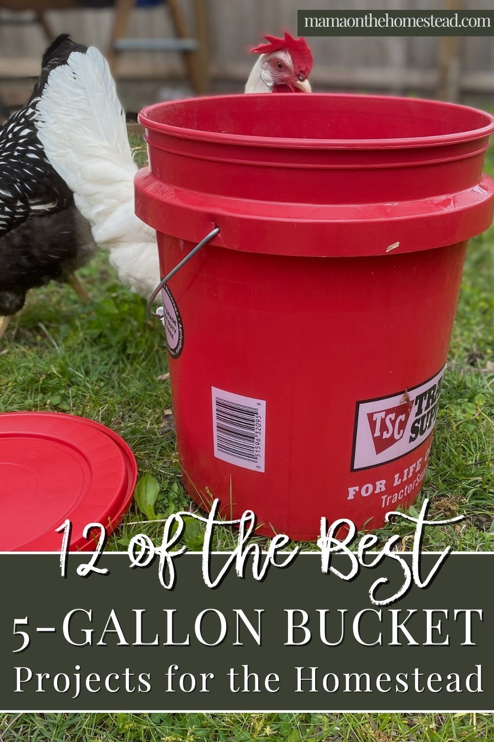 12 5Gallon Bucket Projects for the Homestead Mama on the Homestead