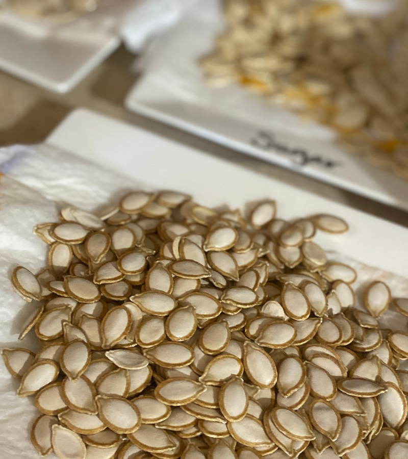 pumpkin seeds on paper towel lined plates