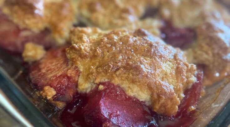 Brown Sugar Plum Cobbler