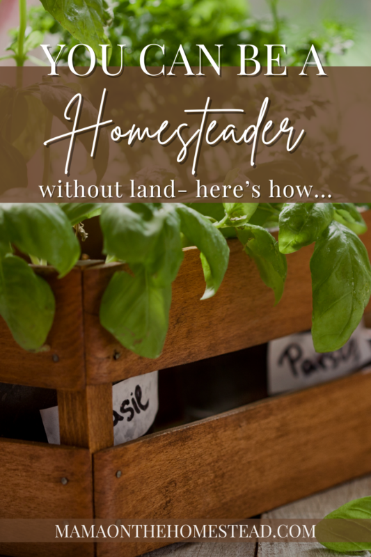 Homesteading Without Land | 13 Ways to Start - Mama on the Homestead