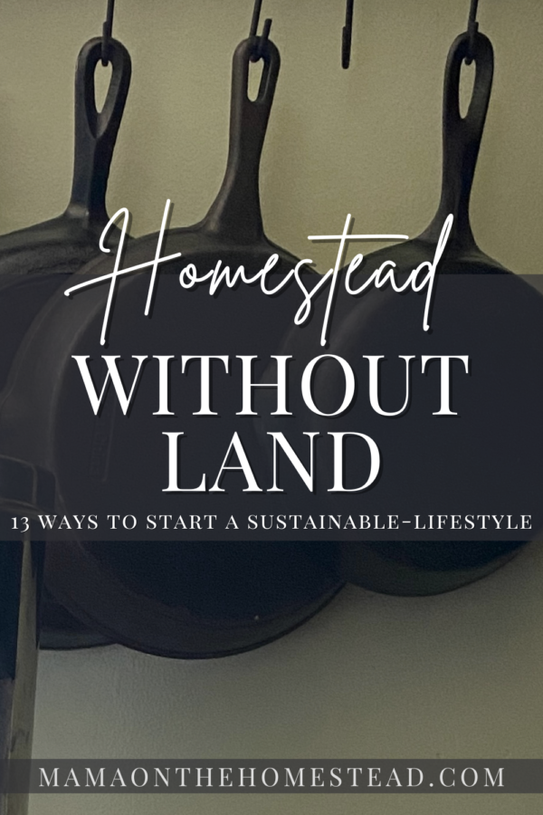 Homesteading Without Land | 13 Ways to Start - Mama on the Homestead