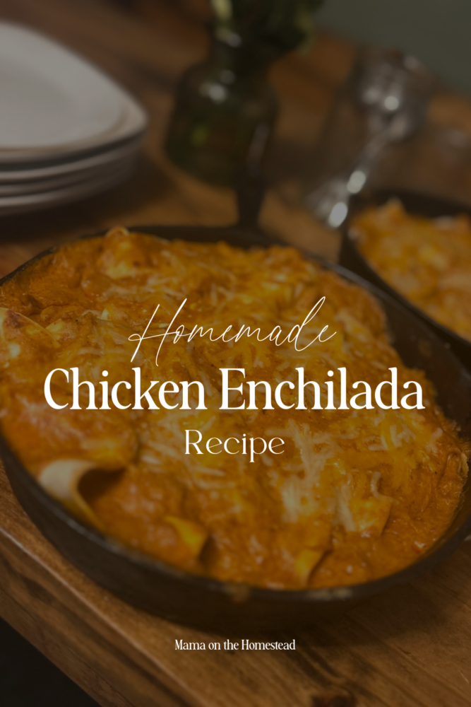 Homemade Chicken Enchilada Recipe | Mama on the Homestead