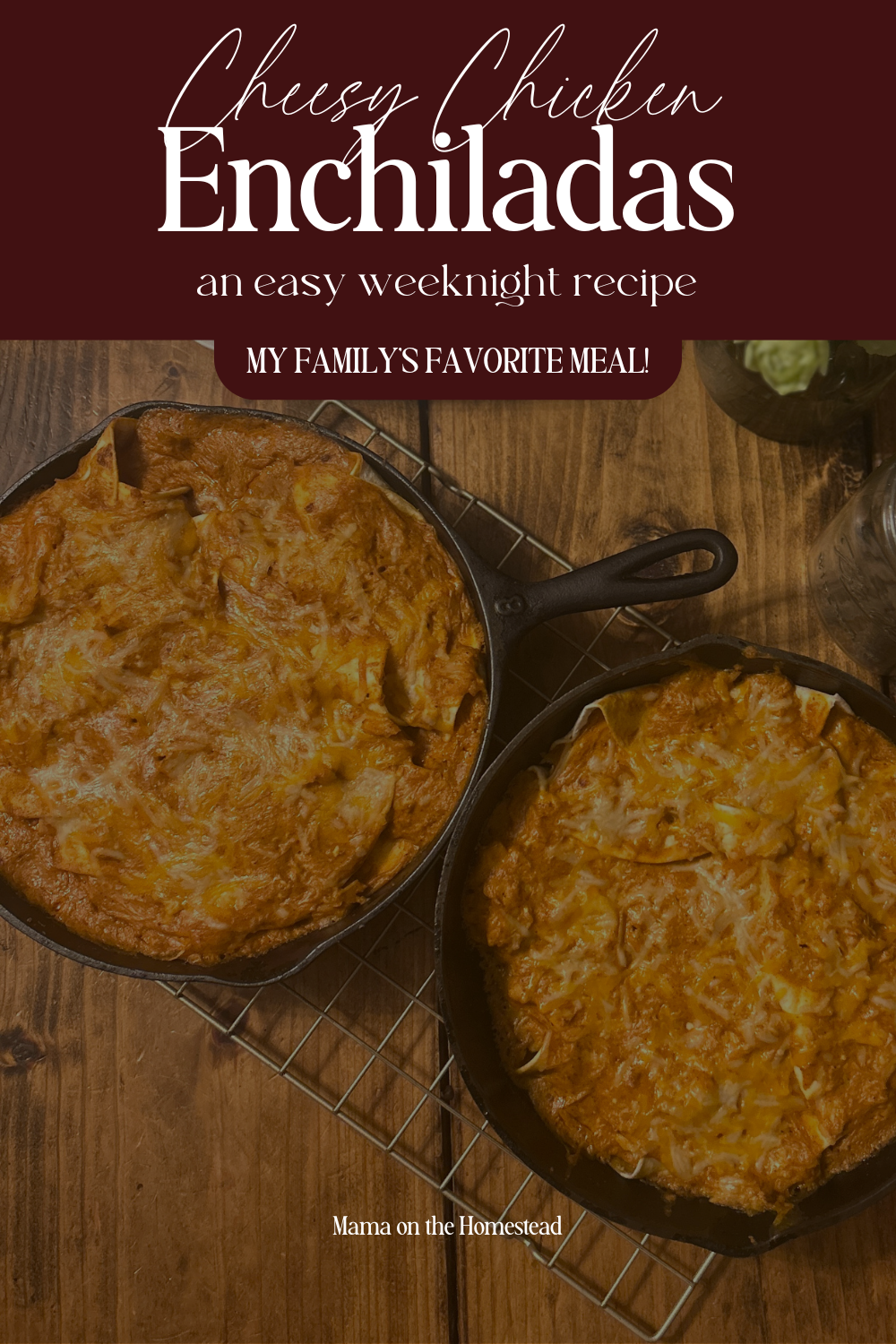 Cheesy Chicken Enchiladas: an easy weeknight recipe- My family's favorite meal! | Mama on the Homestead