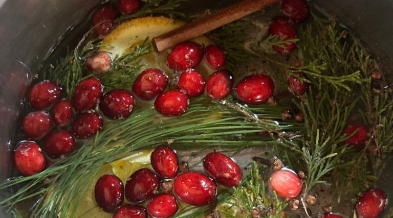 Forest Spice Simmer Pot Recipe | Winter Simmer Pot