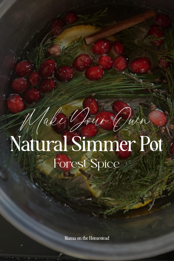 Make Your Own Natural Simmer Pot | Forest Spice