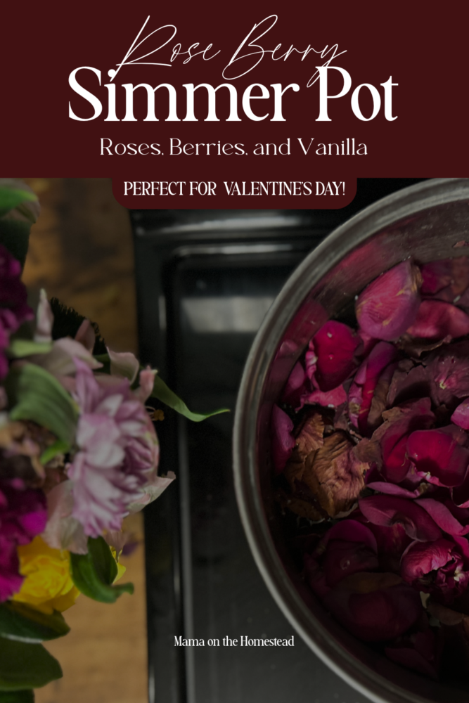 Rose Berry Simmer Pot | Roses, Berries, and Vanilla | PERFECT FOR VALENTINE'S DAY!