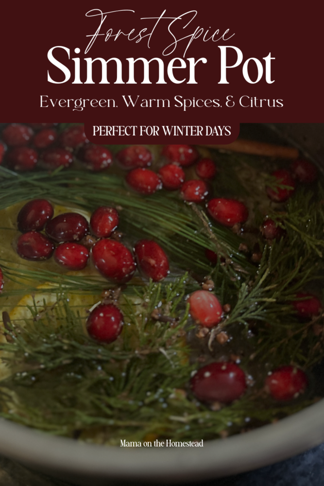 Forest Spice Simmer Pot | Evergreen, Warm Spices, and Citrus - Perfect for Winter Days