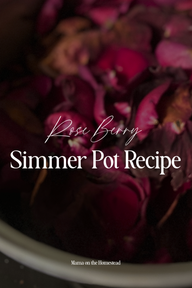 Rose Berry Simmer Pot Recipe