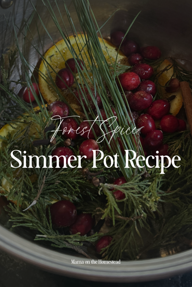 Forest Spice Simmer Pot Recipe