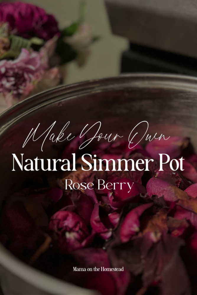 Make Your Own Natural Simmer Pot | Rose Berry