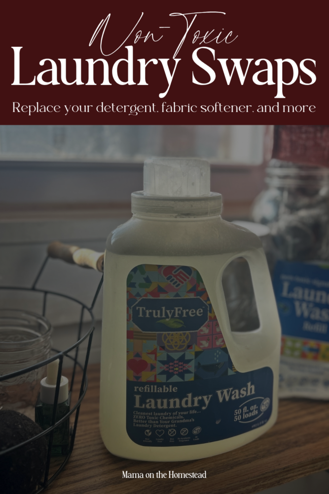 Non-Toxic Laundry Swaps | Replace your detergent, fabric softener, and more