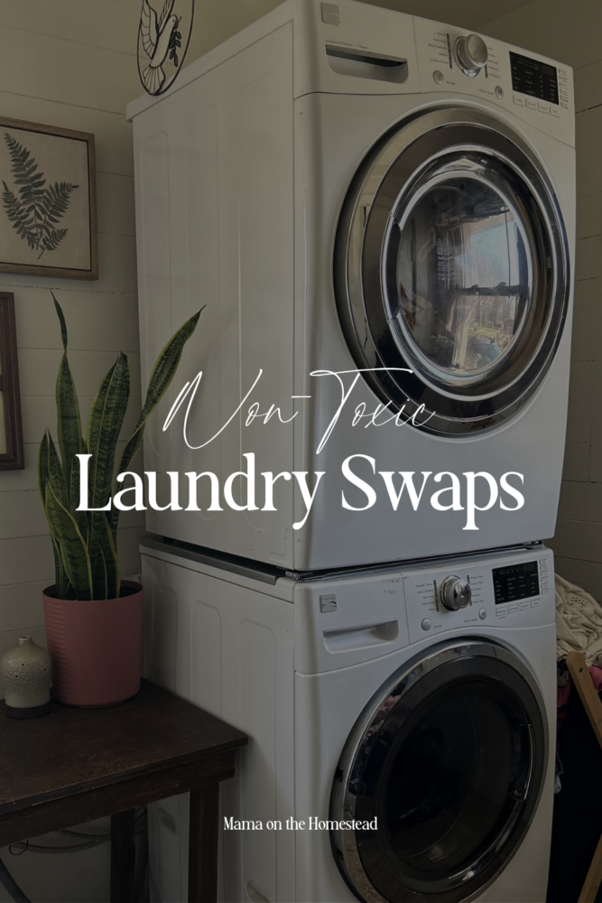 Non-Toxic Laundry Swaps