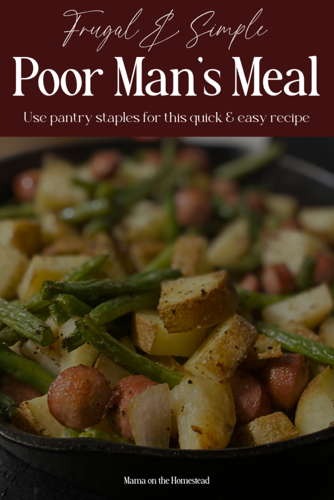 Frugal & Simple Poor Man's Meal: Use Pantry Staples for this Quick & Easy Recipe