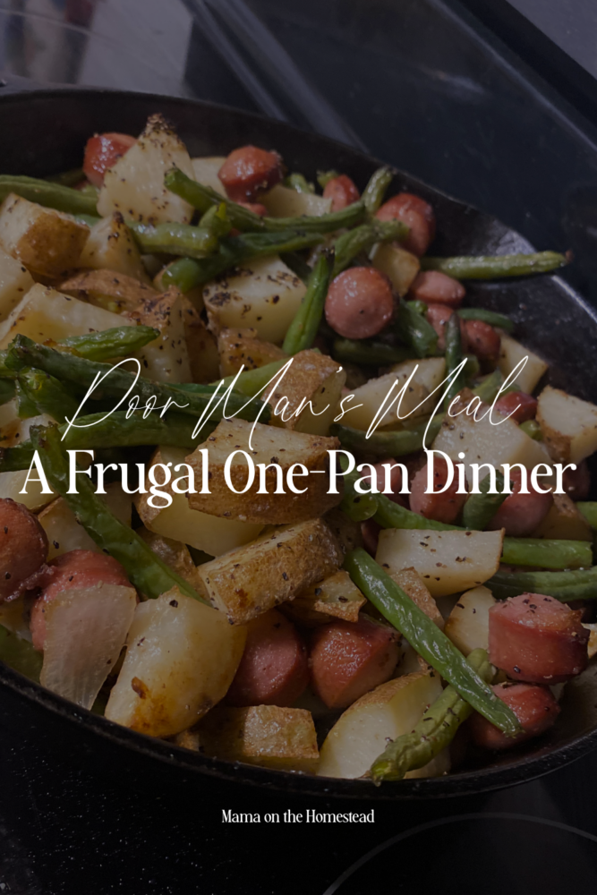 Poor Man's Meal: A Frugal One-Pan Dinner