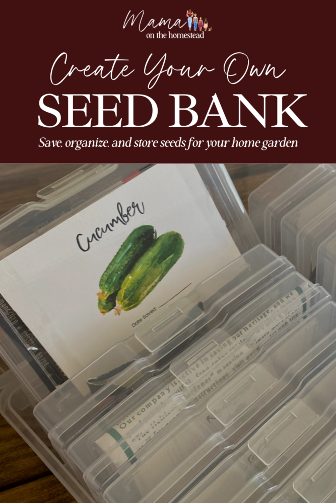 Create Your Own Seed Bank: Save, Organize, and Store Seeds for Your Home Garden | Mama on the Homestead