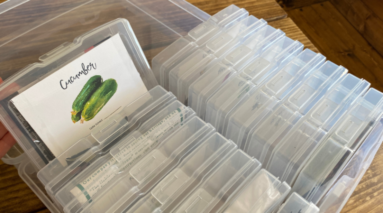How to Build a DIY Seed Bank for Your Home Garden