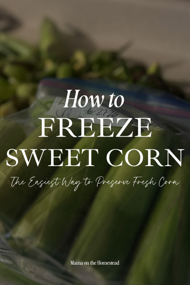 How to Freeze Sweet Corn: The Easiest Way to Preserve Fresh Corn | Mama on the Homestead