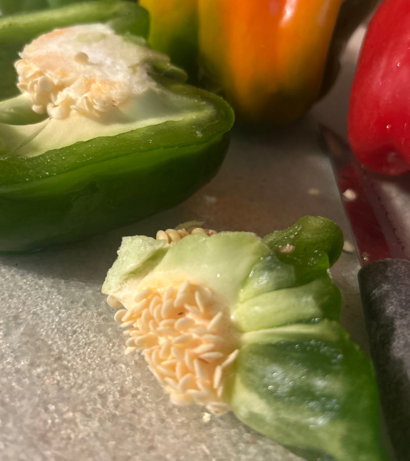 bell pepper cut open showing seeds
