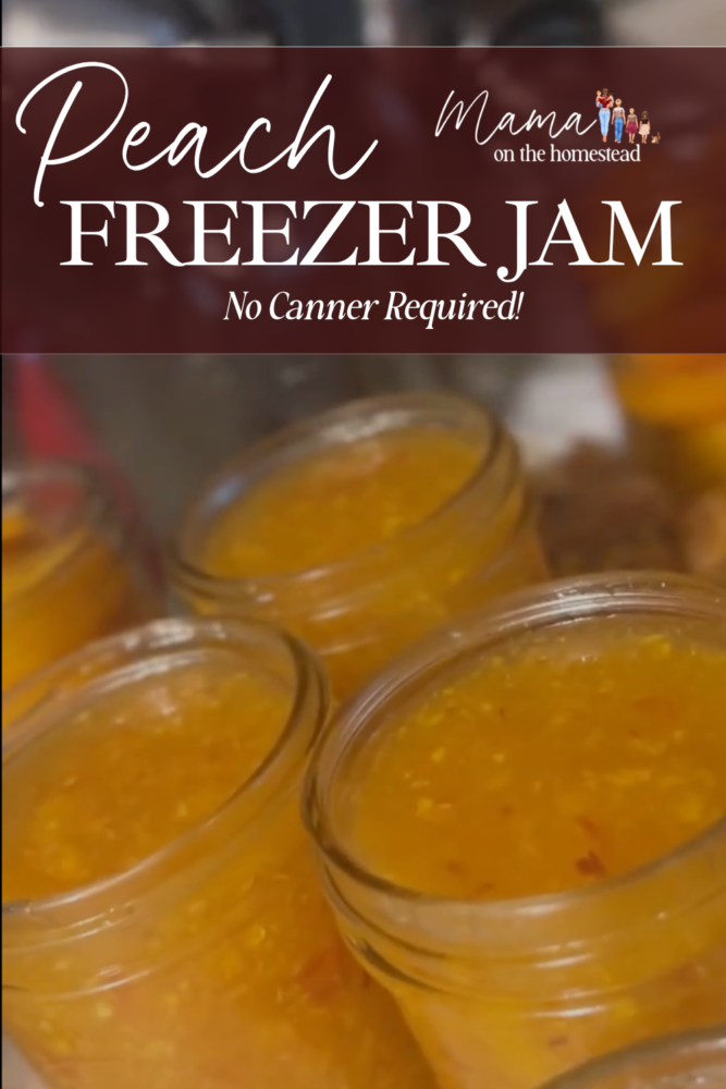 Peach Freezer Jam: No Canner Required! | Mama on the Homestead