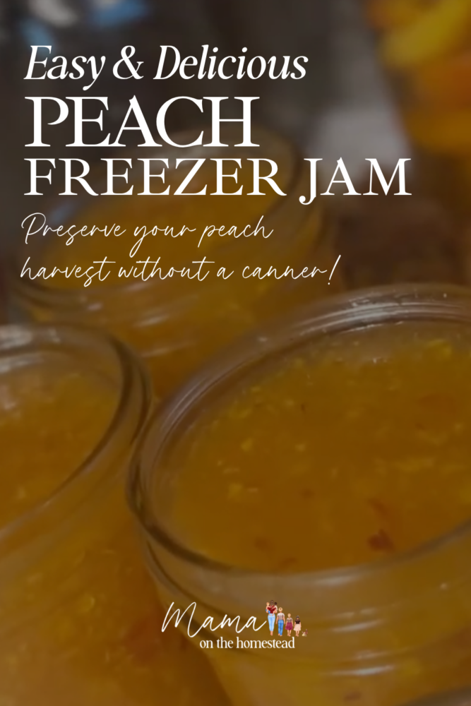 Easy & Delicious Peach Freezer Jam: Preserve Your Peach Harvest Without a Canner! | Mama on the Homestead