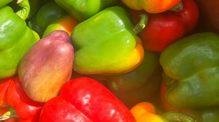 How to Preserve Bell Peppers: Freezing, Dehydrating, Canning, and Pickling