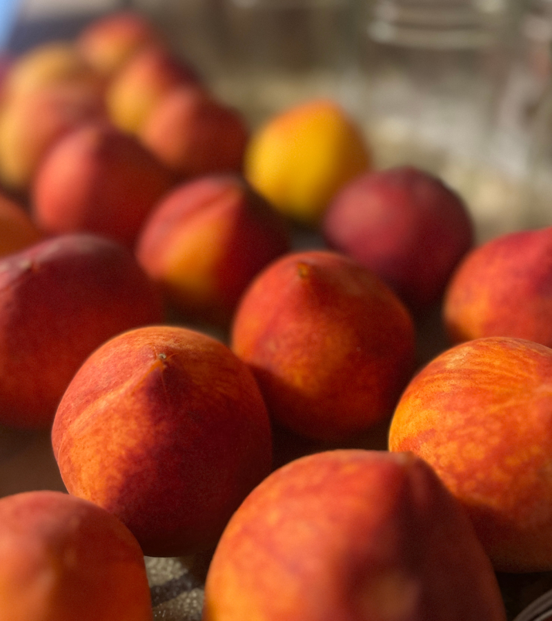 peaches on a counter