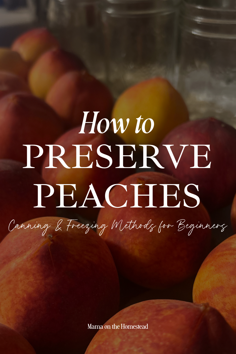 How to Preserve Fresh Peaches: Canning & Freezing Methods for Beginners | Mama on the Homestead