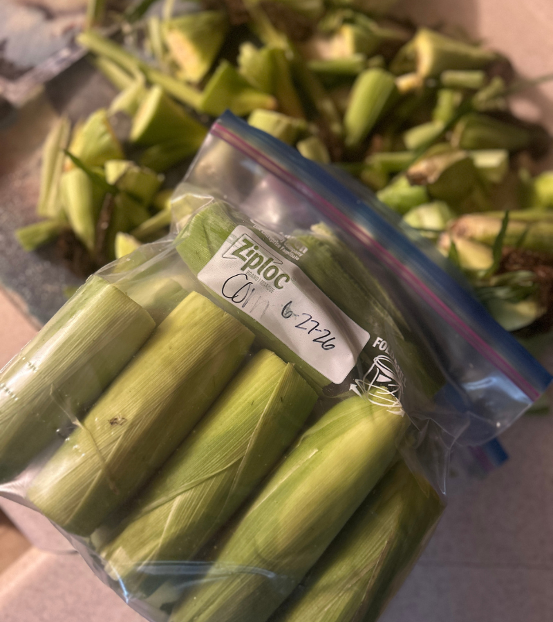 how to freeze sweet corn- in the husk in freezer bags